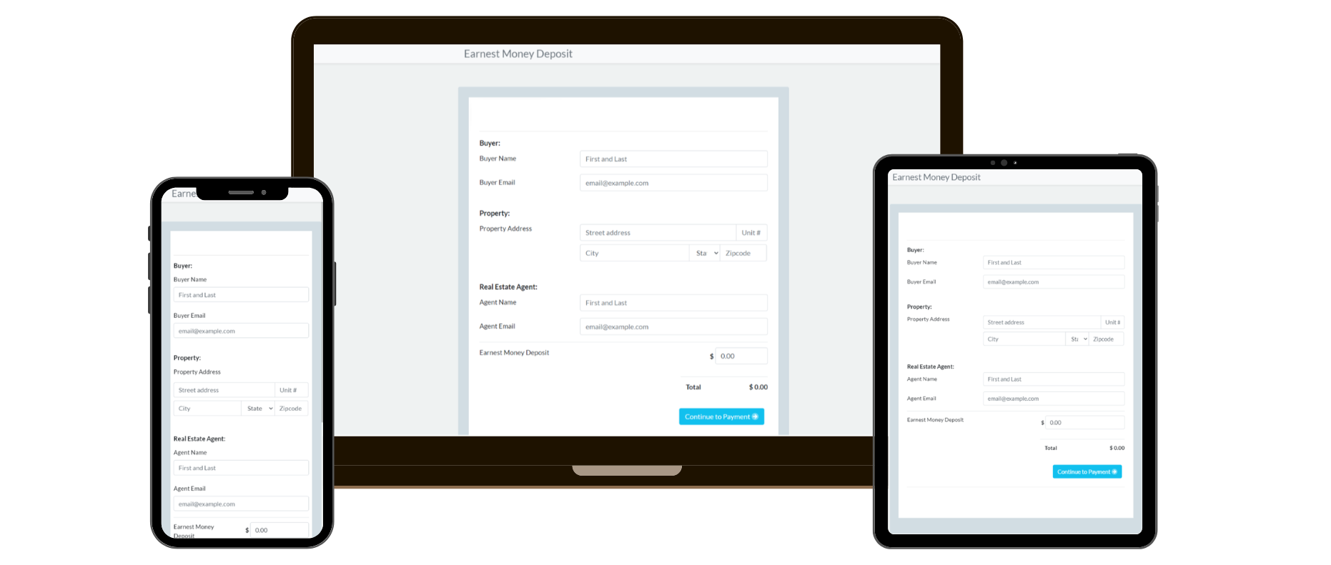 Payload Payments Mockup